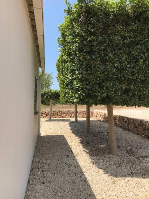 הוילה Cala Llombards Casa De La Luz מראה חיצוני תמונה